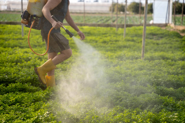 Best Wildlife Control Services  in Santa Anna, TX