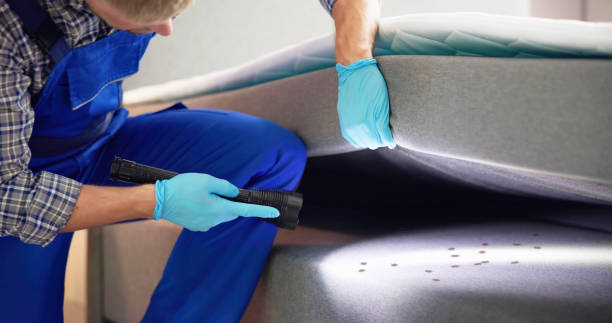 Best Best Pest Control Companies  in Santa Anna, TX
