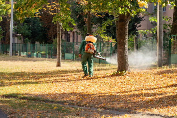 Best Pest Inspection Near Me  in Santa Anna, TX