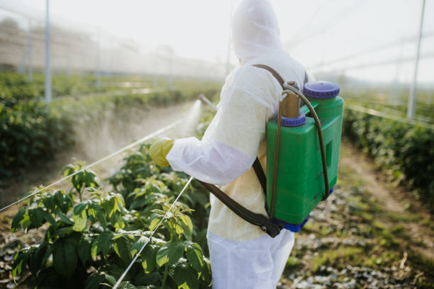Best Pest Control Near Me  in Santa Anna, TX